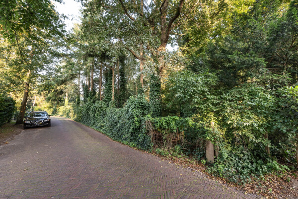 photo 8 Wikkelaan 0 ong