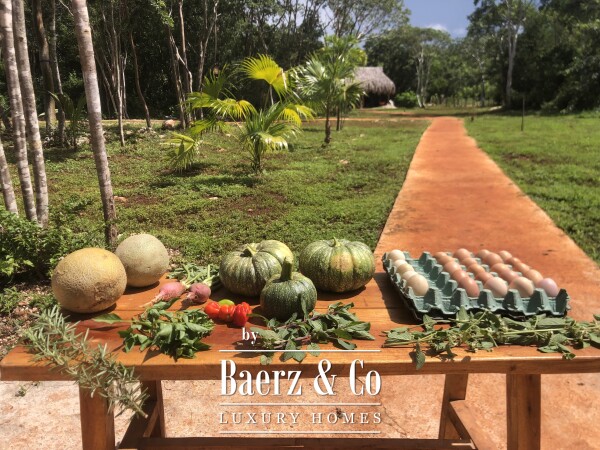 photo 17 A Private Yucatán Estate — A Life of Privacy, Nature and Independence