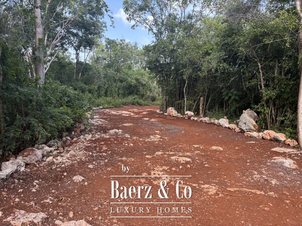 photo 23 A Private Yucatán Estate — A Life of Privacy, Nature and Independence
