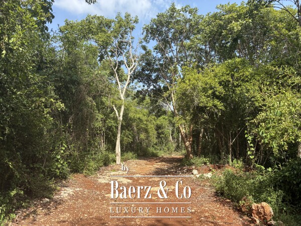 photo 24 A Private Yucatán Estate — A Life of Privacy, Nature and Independence