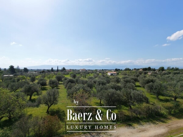 photo 34 Luxury Rural Estate in Magula, Evia