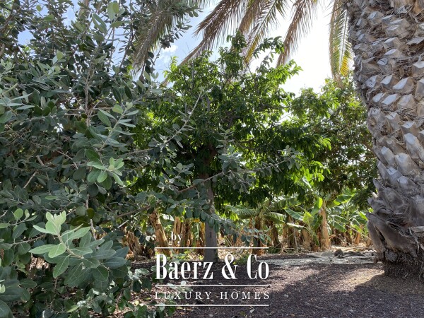 photo 49 Magnificent estate featuring family home and an organic banana plantation