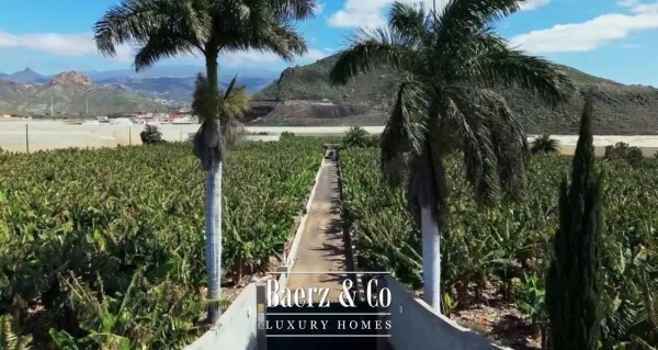 photo 32 Magnificent estate featuring family home and an organic banana plantation